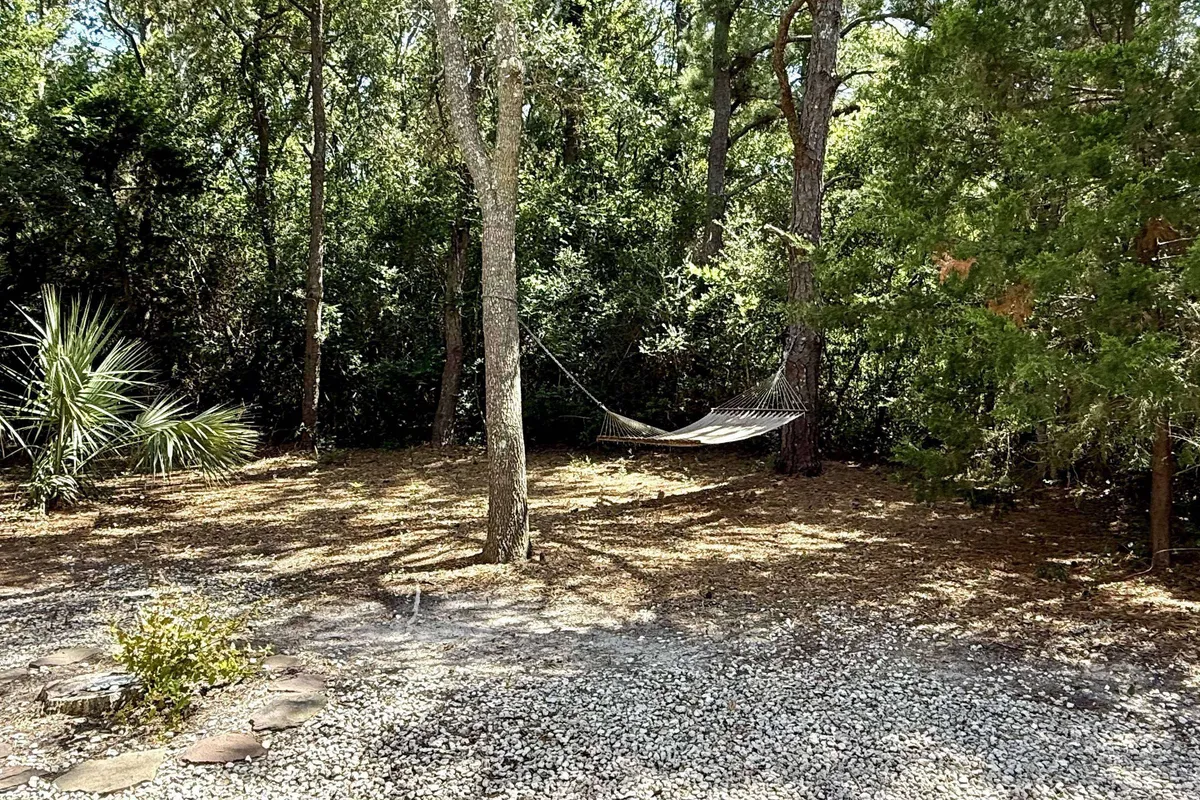 A peaceful exterior setting showing a hammock nestled among surrounding trees along a gravel path. The hammock offers a secluded spot for relaxation, reading, or meditation, enveloped by nature's sights and sounds. The scene is serene and intimate, suggesting opportunities for solitary wildlife observation.